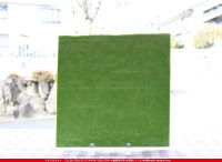 ���åƥ�_MO_212_C_715202200066_�̿���1/2�����ܥ�����_24cm��12cm