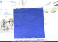 ���åƥ�_MO_220_C_715202200069_�̿���1/2�����ܥ�����_24cm��12cm