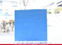 ���åƥ�_MO_224_C_715202200071_�̿���1/2�����ܥ�����_24cm��12cm