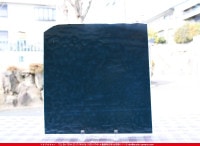 ���åƥ�_MO_228_C_715202200073_�̿���1/2�����ܥ�����_24cm��12cm