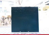 ���åƥ�_MO_228_C_715202200074_�̿���1/2�����ܥ�����_24cm��12cm