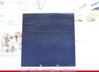 ���åƥ�_MO_272_C_715202200078_�̿���1/2�����ܥ�����_24cm��12cm