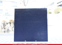 ���åƥ�_MO_272_C_715202200079_�̿���1/2�����ܥ�����_24cm��12cm