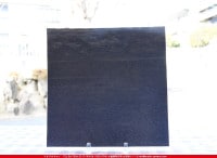 ���åƥ�_MO_272_C_715202200081_�̿���1/2�����ܥ�����_24cm��12cm