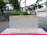 �֥륶��_BU_0034-0000_BU_C_719202200064_�̿���1/2�����ܥ�����_25cm��22cm