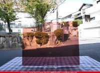 ���󥴥Х�_S_1570 MNA_MNA_B_717202200044_�̿������Τ����ܥ�����_30cm��40cm