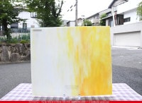 ������_K_169ML_D_734202200311_�̿���1/2�����ܥ�����_35cm��20cm