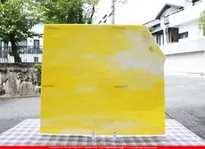 �������ޡ���_W_2D DR_E_707202200299_�̿���1/4�����ܥ�����_20cm��22cm