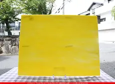 �������ޡ���_W_2D DR_E_707202200324_�̿���1/4�����ܥ�����_20cm��26cm