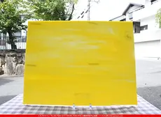 �������ޡ���_W_2D DR_E_707202200325_�̿���1/4�����ܥ�����_20cm��26cm