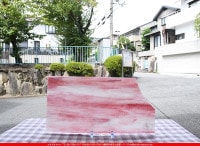 ޡ_W_7-L G_I_707202200347_̿1/2ܥ_20cm17cm