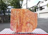 �Ρ��͡���_NN_08_15_745202200009_�̿������Τ����ܥ�����_36cm��40cm