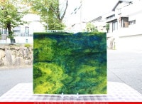 ����ܥ���_UR_65-869_F_701202200029_�̿������Τ����ܥ�����_30cm��38cm