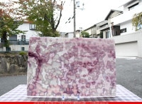 ����ܥ���_YUR_00-49_C_701202200042_�̿���1/2�����ܥ�����_30cm��23cm