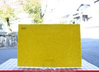 �䥫���ˡ�_UG_5000-HS_G_702202200158_�̿���1/2�����ܥ�����_30cm��22cm