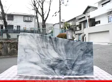 ������_K_42_A_734202300070_�̿���1/2�ʺ�¦��_26cm��22cm_3,878��(�ǹ�)�ΤȤ���20%OFF��