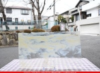 �֥륶��_BU_2037-0030_BUF_B_719202300005_�̿��ϸ���