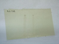 �֥륶��_BU-1837-0030_BUF_C_�̿��ϸ���_25cm��22cm