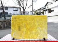 ����ܥ���_YUR_00-36_A_701202300002_�̿���1/2�����ܥ�����_30cm��22cm