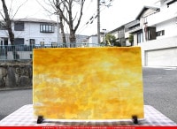 ����ܥ���_YUR_00-361_A_701202300003_�̿���1/2�����ܥ�����_30cm��22cm