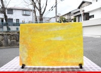 �䥫���ˡ�_UG_1025-HS_A_702202300025_�̿���1/2�����ܥ�����_30cm��22cm