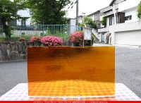 �֥륶��_BU_1122-0030_BUF_C_719202300020_�̿��ϸ���