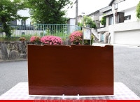 �֥륶��_BU_0309-0030_BUF_D_719202300021_�̿���1/2�����ܥ�����_25cm��22cm