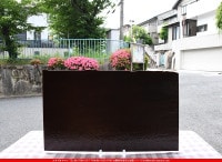 �֥륶��_BU_0203-0030_BUF_C_719202300022_�̿���1/2�����ܥ�����_25cm��22cm