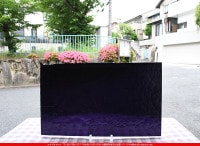 �֥륶��_BU_1128-0000_BU_B_719202300024_�̿���1/2�����ܥ�����_25cm��22cm