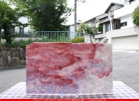 �֥륶��_BU_6210-0000_BU_E_719202300038_�̿���1/2�����ܥ�����_25cm��22cm