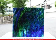 ������_K_142LL WAV_CX_734202300161_�̿���1/4�ʱ�����_20cm��20cm_3,549��(�ǹ�)�ΤȤ���20%OFF��