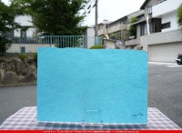 �䥫���ˡ�_UG_6600-SP_C_702202300049_�̿���1/2�����ܥ�����_30cm��22cm