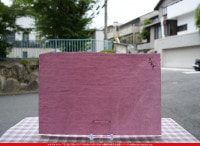 �䥫���ˡ�_UG_3000-SP_C_702202300050_�̿���1/2�����ܥ�����_30cm��22cm