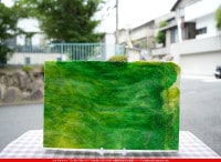 ����ܥ���_YUR_65-74_A_701202300008_�̿���1/2�����ܥ�����_30cm��22cm