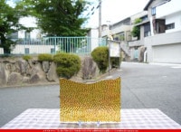 ���ץƥ��ޥ�_OP_IR1021_B_716202300002_�̿������Τ����ܥ�����_16cm��25cm