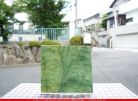 �Ρ��͡���_NN_23-10_11_745202300020_�̿������Τ����ܥ�����_26cm��26cm