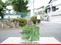 �Ρ��͡���_NN_23-10_11_745202300021_�̿������Τ����ܥ�����_20cm��20cm