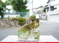 �Ρ��͡���_NN_23-11_11_745202300022_�̿������Τ����ܥ�����_24cm��28cm