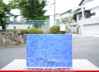 �Ρ��͡���_NN_23-13_14_745202300027_�̿������Τ����ܥ�����_25cm��35cm