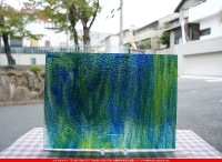 �������ޡ���_W_197-LL G_C_707202300139_�̿���1/2�����ܥ�����_32cm��22cm