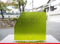 �������ޡ���_W_1146 FLO_C_707202300292_�̿������Τ����ܥ�����_36cm��40cm