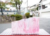 _K_118SPLP(KO806)_D_734202300284_̿ϸ