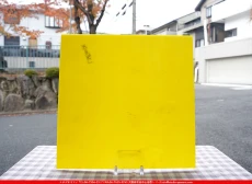 ������_K_LemonXD_D_734202300377_�̿���1/4�����ܥ�����_20cm��20cm