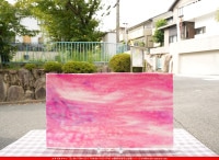 �֥륶��_BU_2310-0000_BU_E_719202300044_�̿���1/2�����ܥ�����_25cm��22cm