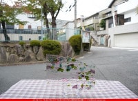 ֥륶_BU_4128-0000_BU_E_719202300053_̿Τܥ_20cm25cm