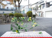 ֥륶_BU_4112-0000_BU_E_719202300083_̿Τܥ_25cm46cm