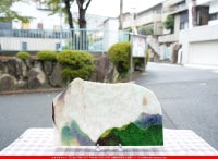 ����ܥ���_UR_UN-67_C_701202300020_�̿������Τ����ܥ�����_20cm��36cm