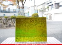 ����ܥ���_UR_20-732_E_701202300024_�̿������Τ����ܥ�����_30cm��38cm