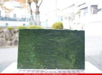 ����ܥ���_UR_20-796_E_701202300025_�̿���1/2�����ܥ�����_30cm��25cm