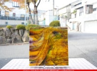 ����ܥ���_UR_00-63_H_701202300026_�̿������Τ����ܥ�����_30cm��30cm